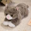 6 Colour Stuffed Plush Toy Lying Prone Simulation Cat Plush Doll Latest Cat Plush Toys  Home Decor