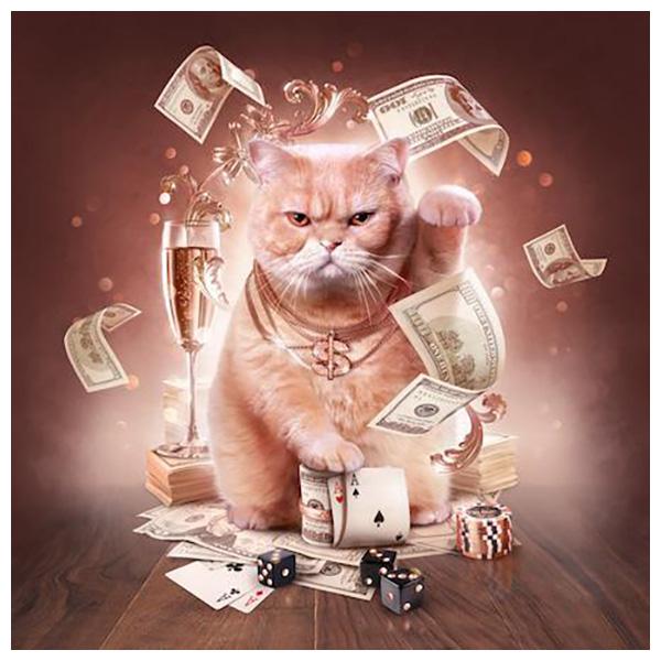 DIY 3D kulatá diamantová malba Zvířecí kočky Výšivka Cross Craft Stitch Home Decor