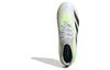 adidas Predator Accuracy.2 Hg Ag 'Biały Zielony Czarny' IE9486