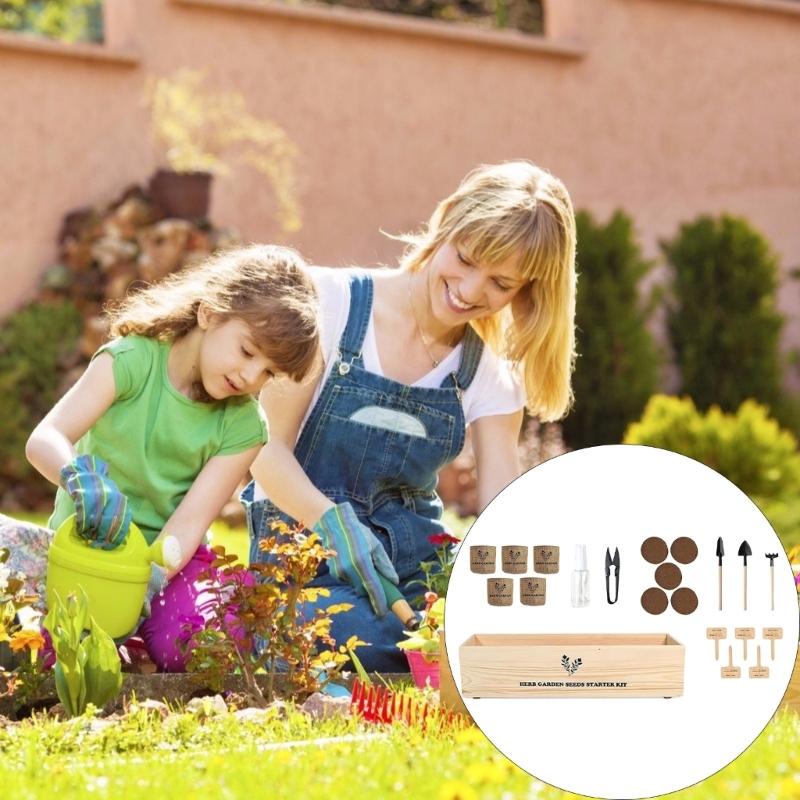 

Potted Plant Tree Indoor Planting Kits Includes Pot Guide Gardening Gifts for Women Men Mom Father Plant Lover HX6C CN