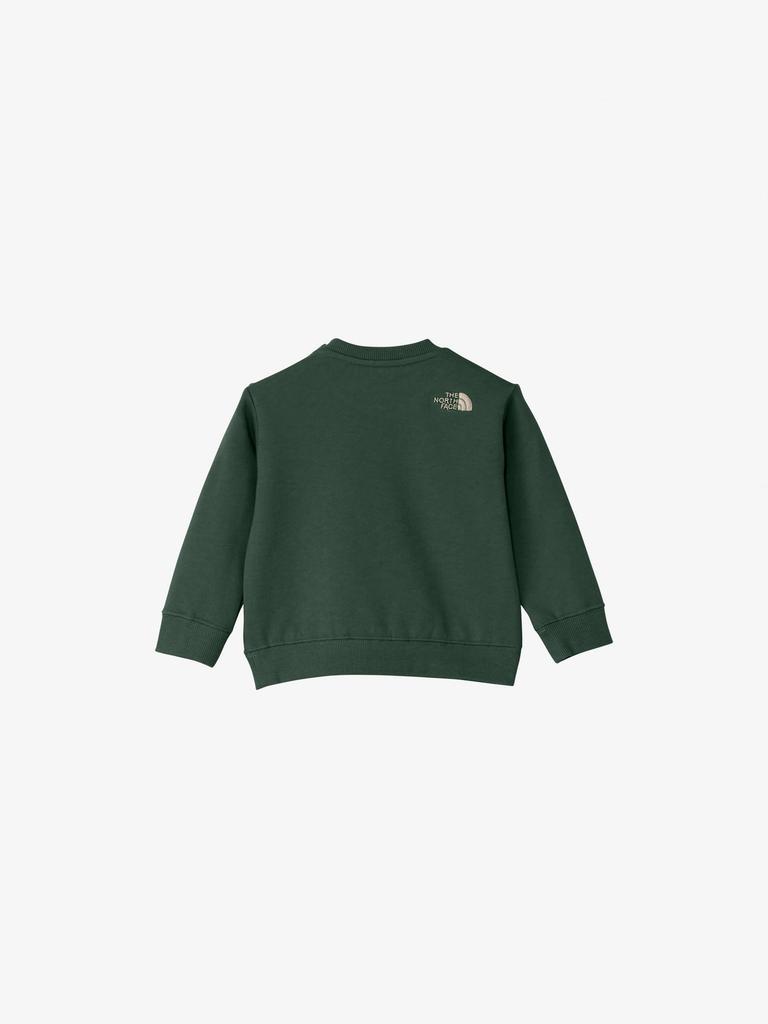 The North Face B Sweat Logo Crew Alpine 90 Sweatshirt