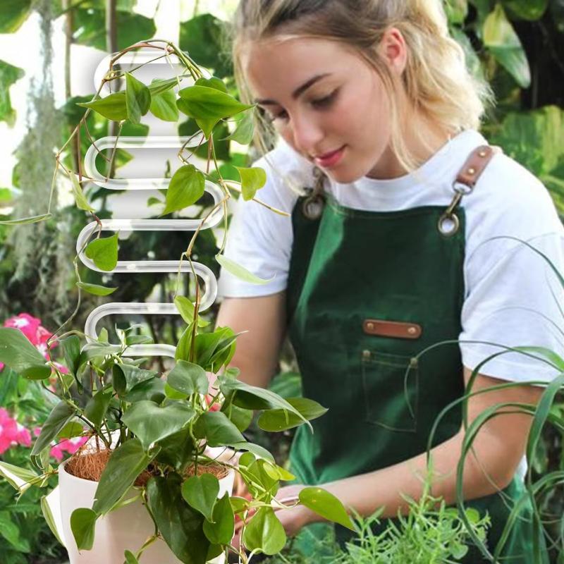 Curved acrylic plant climbing frame, transparent and durable, suitable for indoor vines and flower pots support
