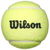 Wilson Bear Racket Set 21 inch