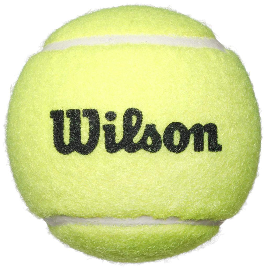 Wilson Bear Racket Set 21 inch