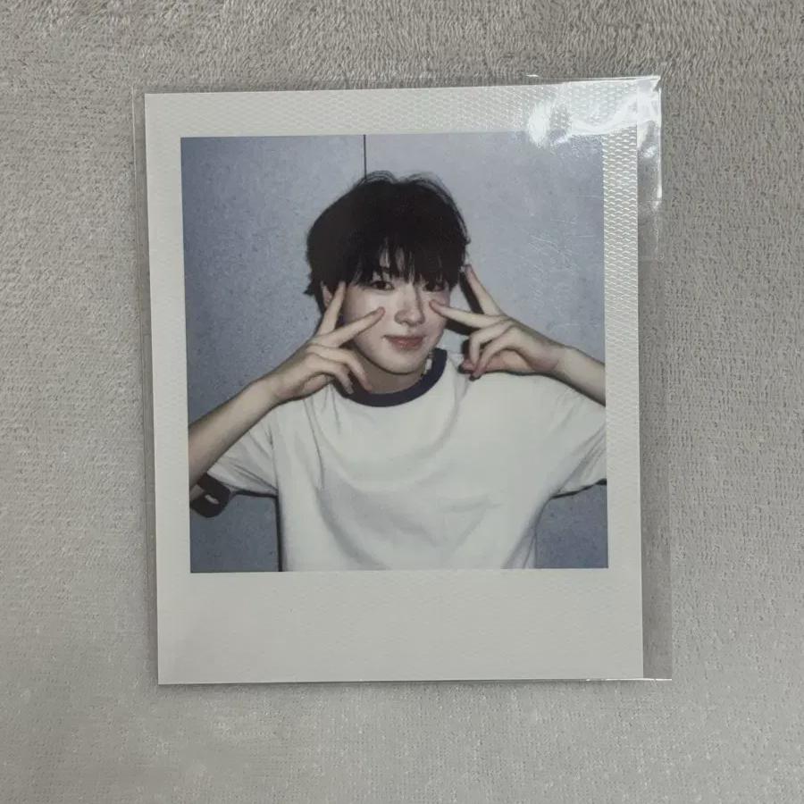 

Wish Sakuya Season s Greetings Polaroid Sells Brand-new, Sealed Products. Ncitywish Polaroid