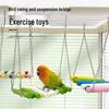 Macaron-Colored Bird Cage Ornament: Radish Valley Parrot Bridge Toy for Budgerigars
