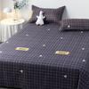 Bed Sheet Thickened Single Product Winter Washed Stylish Simplicity Cotton New Students Dormitory Breathable Comfortable Sheets