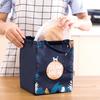 Tragbare, verdickte, isolierte Lunchbox-Tasche, Büroangestellter, Handgepäck-Mahlzeitentasche, großes Fassungsvermögen, Thermokühler, Picknick-Paket für Damen und Kinder