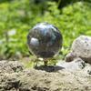 Crocon Labradorite Crystal Sphere with Metal Stand Gemstone Sphere Healing Ball Sculpture Feng Shui Divination Figurine Home Decor Size: 45-55 Mm