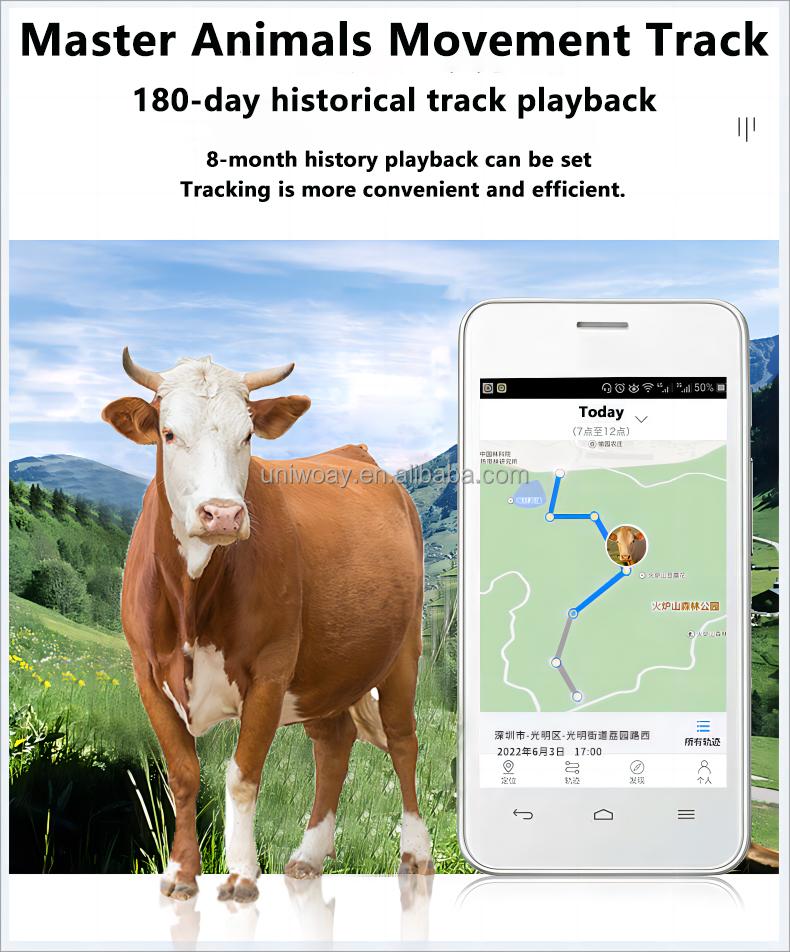 Cow Sheep Animal GPS Tracker Waterproof 4G C035 20000mah Long Standby Time Anti Theft Gps Tracker With Collar