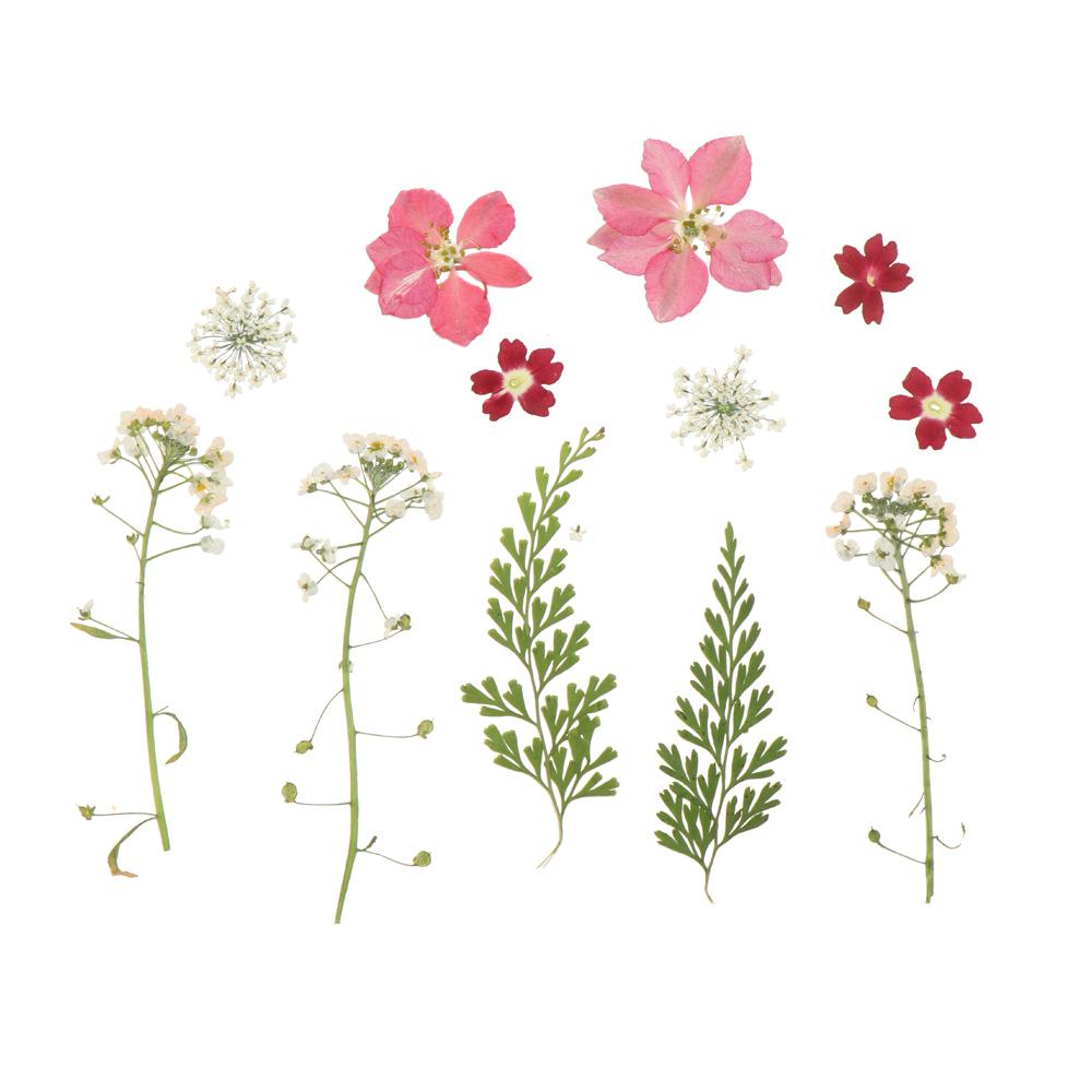 Jewelry Making Filling Materials Dried Flowers Resin Filler Beauty Decal Resin Mold Filling Flower