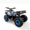 Kids' 36V 800W Electric ATV: All-Terrain Four-Wheeler with Lead-Acid Battery