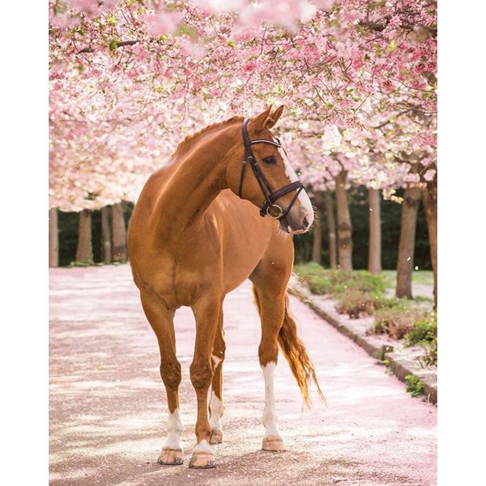 

Алмазная живопись Полная круглая выкладка Вышивка крестом Рукоделие Мозаика Алмазная вышивка Новинка Стразы Мозаика Домашний декор 15x20CM