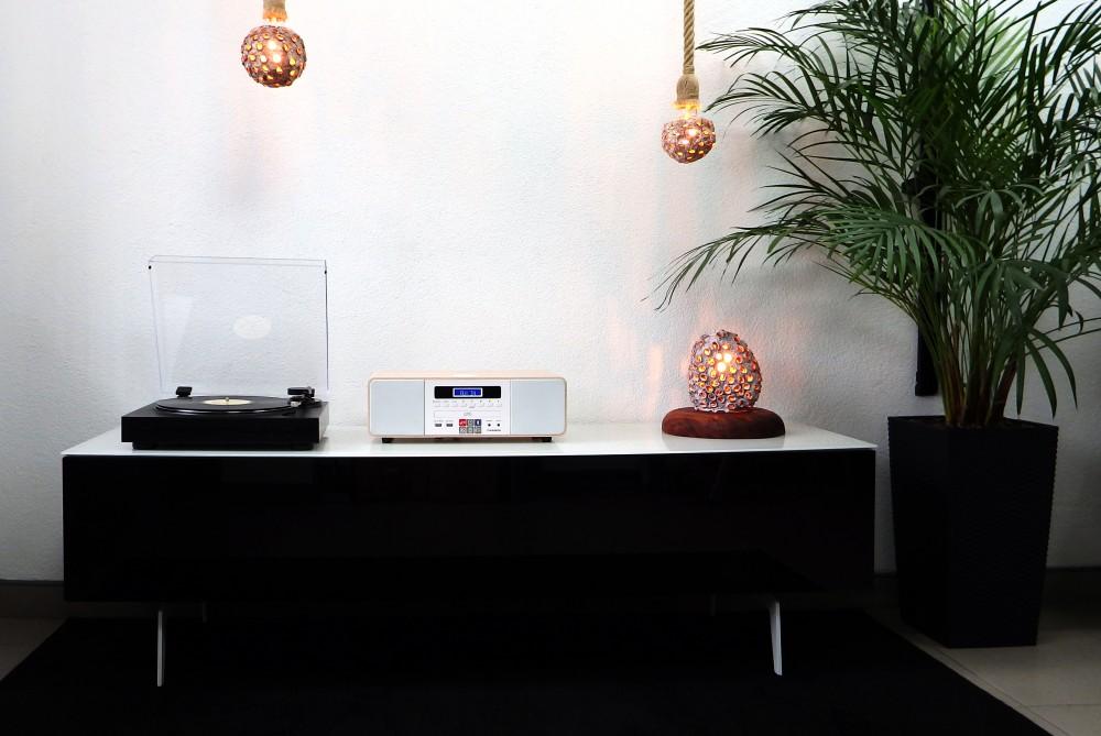 Stereoanlage / Digitale Mini-Anlage mit Plattenspieler THOMSON TT350 & MIC201, Thomson