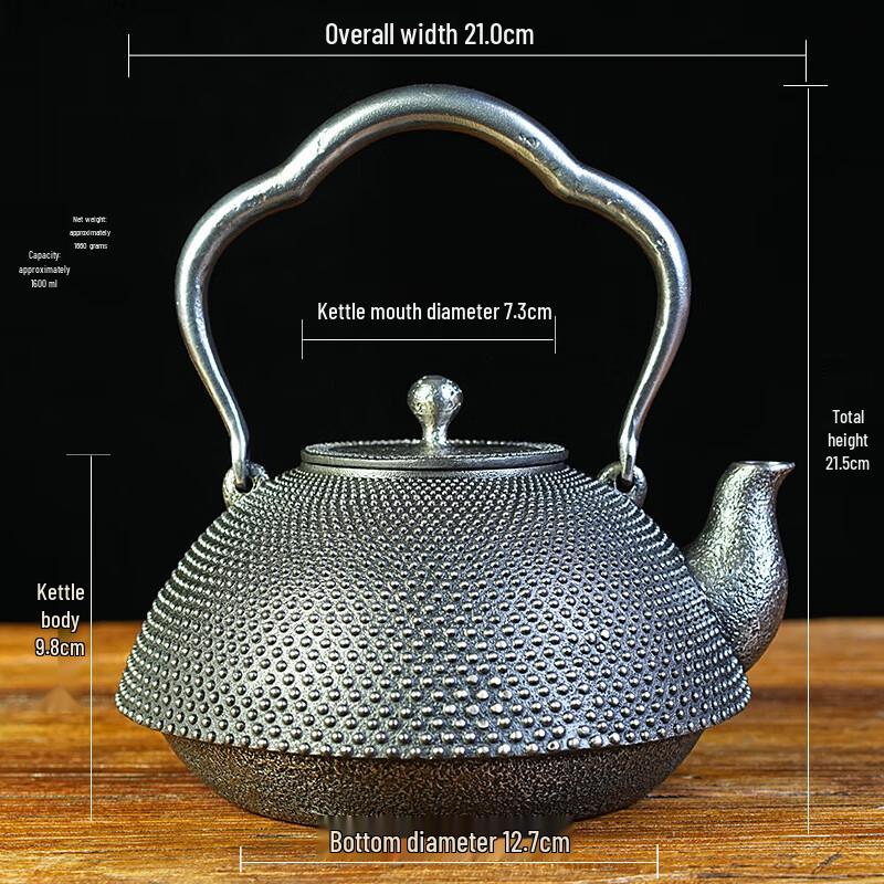 Chaxun Hail Pattern Sand Iron Teapot