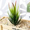Eye Catching Green Artificial Flowers Simulation Fake Flower Aloe Plant