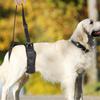 Handige hondenslingers Alle maten Honden Voor- en Achterpootondersteuning Tilharnas voor Gewonde Oude Hond Gehandicapte Huisdierbenodigdheid