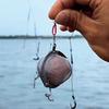 FTK Stainless Steel Bait Cage Nesting Cage Fishing Bait Cage String Hook Nesting Device
