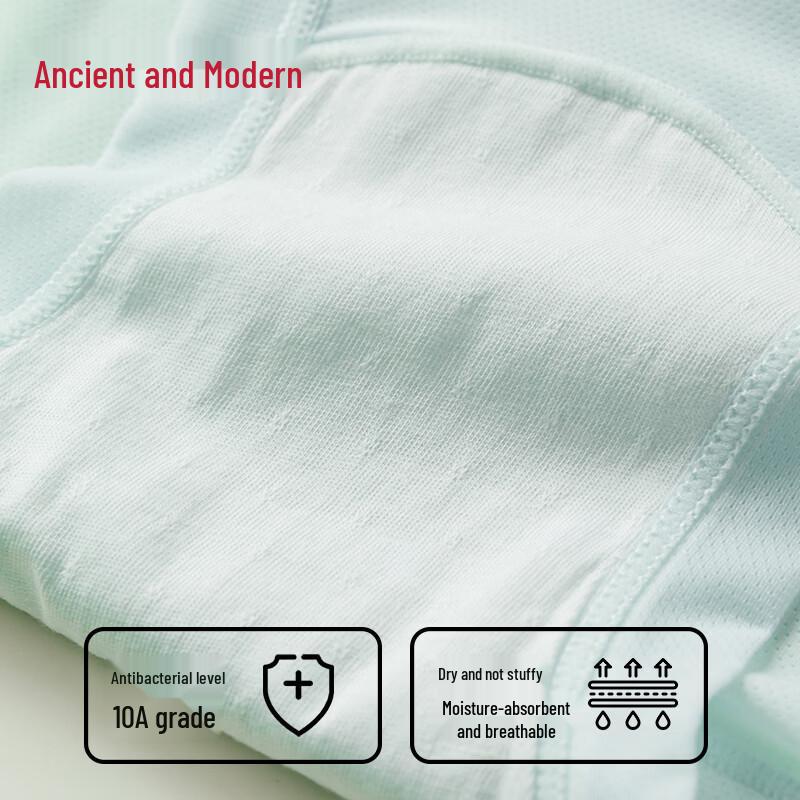 GUJIN Women's Ice Silk Seamless Mid-Waist Briefs