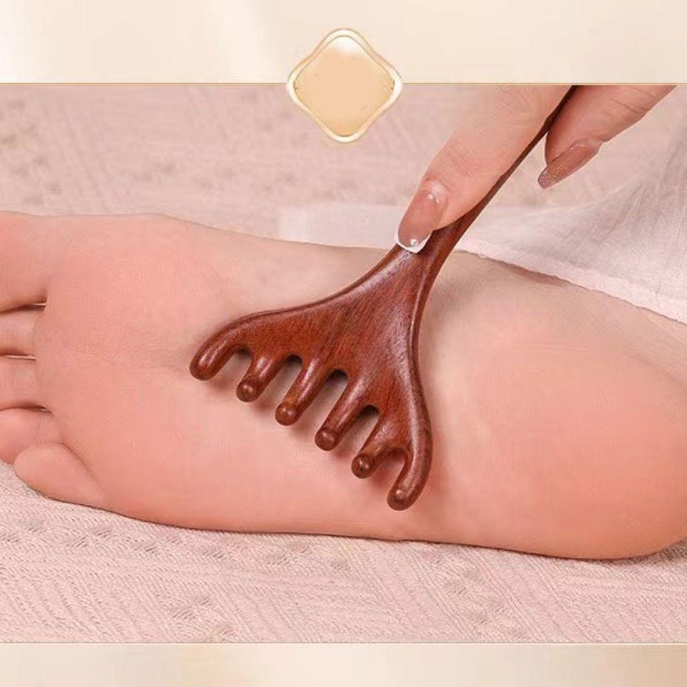 5Pcs Blood Circulation Wooden Massage Comb Scalp Relax Scalp Meridian Massager  Neck Nose