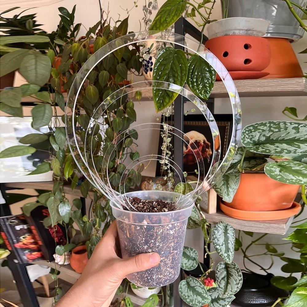 Weather-resistant Acrylic Plant Bracket Round Shape Climbing Plant Support  Outdoor Garden