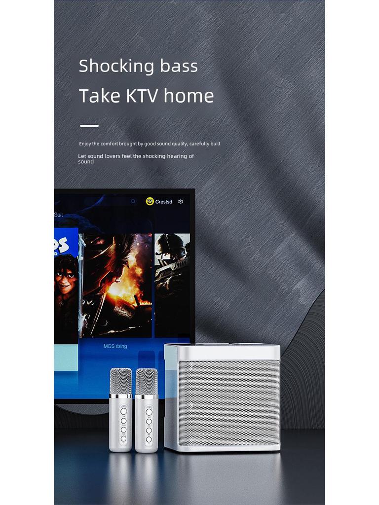 YS203k Bluetooth Karaoke Speaker with Wireless Microphone and Subwoofer