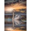 DIY 5D Diamond Painting Full Round Swan Diamond Embroidery Mosaic Sale Animal Pictures of Rhinestones Art Cross Stitch Kit Gift