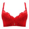 Sexy Bras for Women Lace Plus Size E Cup Thin Bra Adjustable Gather Steel Ring Sensual Lingerie Push Up Bra Fancy Underwear