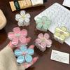Beautiful Flower Design Hair Clips In Soft Macaron Colors For Fashionable Looks