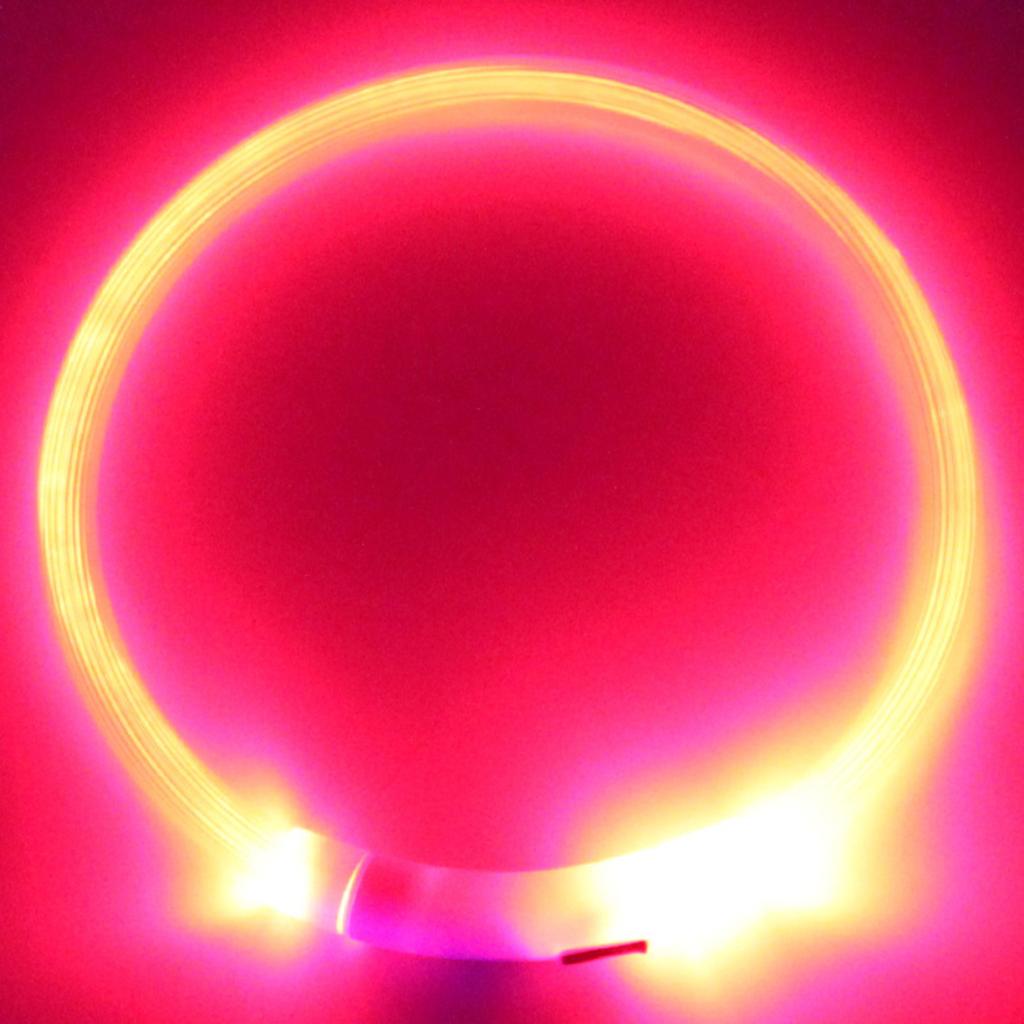 Nové LED světlo na obojky pro psy USB dobíjecí svítící obojky s bleskem pro domácí mazlíčky