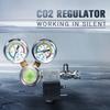 New Co2 Equipment Regulator Magnetic Solenoid Two Gauge Bubble Counter for Aquarium Service 220V To 240V