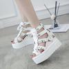 Fashion Women's High Heeled Sandals with Thick Sole, Fish Mouth Design, Lace-up Back Zipper, Flat Heel
