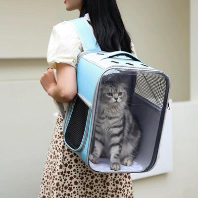 Atmungsaktiver & Faltbarer Haustier-Rucksack mit Großer Kapazität für Katzen & Hunde