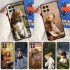 Cute Beagle Dog For Samsung Galaxy M33 M13 M23 M53 M15 M55 M31 M51 M14 M34 M54 M20 M30s M32 M52 Phone Case