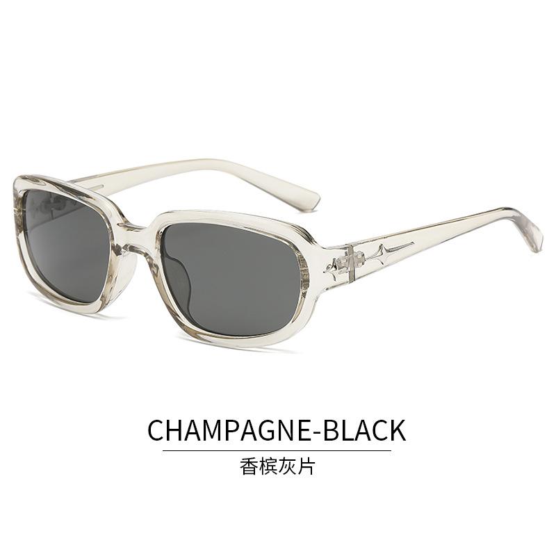 

Retro Vintage Style Men s Sunglasses Stylish Fashion Y2K Outdoor Sun Eyeglasses UV400 Protection Travelling Woman Sunglass