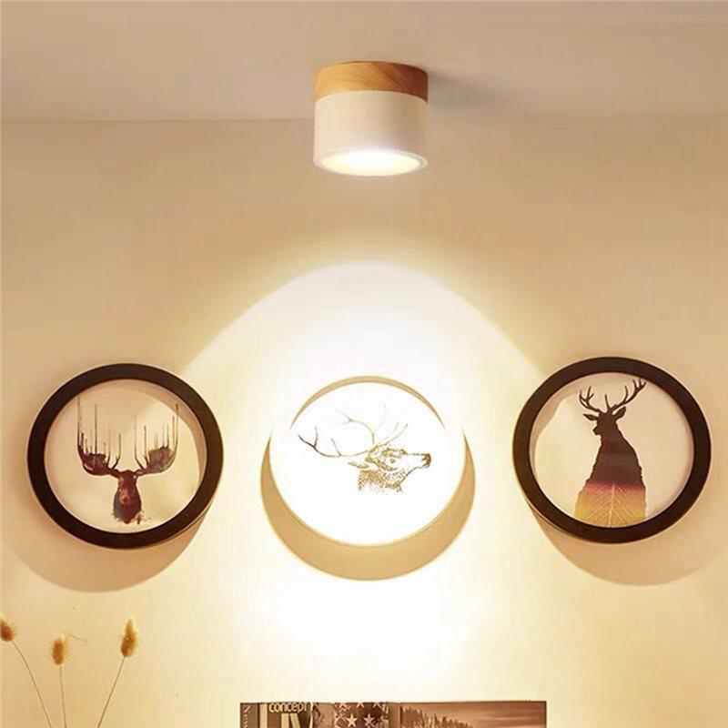 ABFS LED Downlight Mounted Ceiling Downlight Nordic Spot Light For Indoor Foyer,Living Room