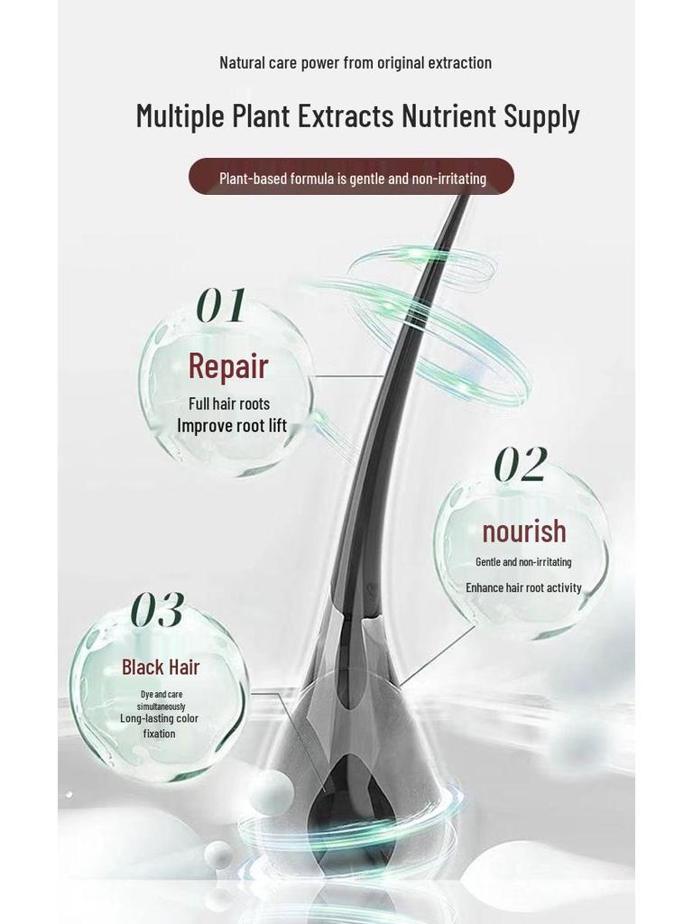 Plant-Based Hair Dye Cream: Non-Staining, Gray Hair Coverage, Home Use, 500ml (Pack of 2)