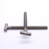 High-Strength T-Head Hammer Screws, Stainless & Carbon Steel