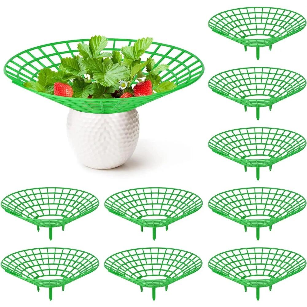 5/10/20Pcs Strawberry Plant Supports with 3 Sturdy Legs Strawberry Growing Racks Protector From Mold Rot Dirt Plant Stand