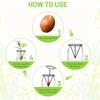 1/2/4Pcs Avocado Seed Starter Vase Holders Avocado Seed Growing Triangle Metal Stand Carrots, Sweet Potatoes Growing Stand