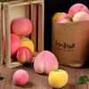 Seasonal Foam Fruit Ornaments: Large Flat Peach Simulation Model