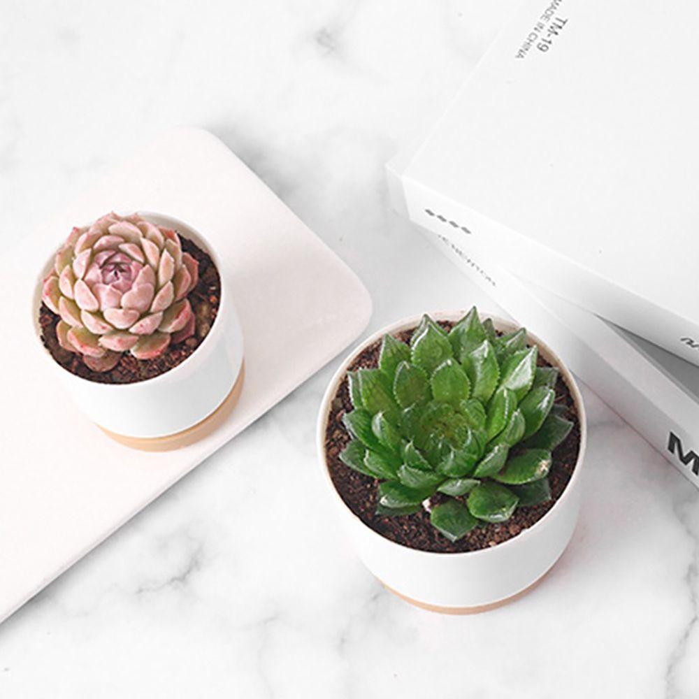 Automatic Water Absorption INS Style Flower Planter Flowerpot Succulent Planter Pot Garden Supplies