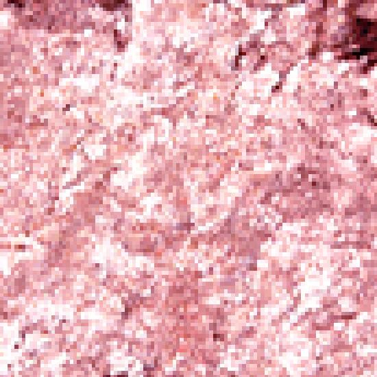 HOLIKA HOLIKA My Favorite Peace Eyeshadow/Gel Tail/Peace Beam/Peace Balm