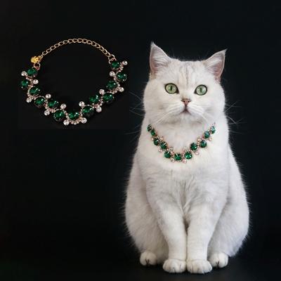 Katzen – Katzenhalsbänder & Leinen
