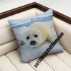 For Throw Pillow Case Sham 45X45Cm 35X35Cm Square Bedroom Seals Fruit Cute Seal Sea Meme Pillowcase Cushion Cover