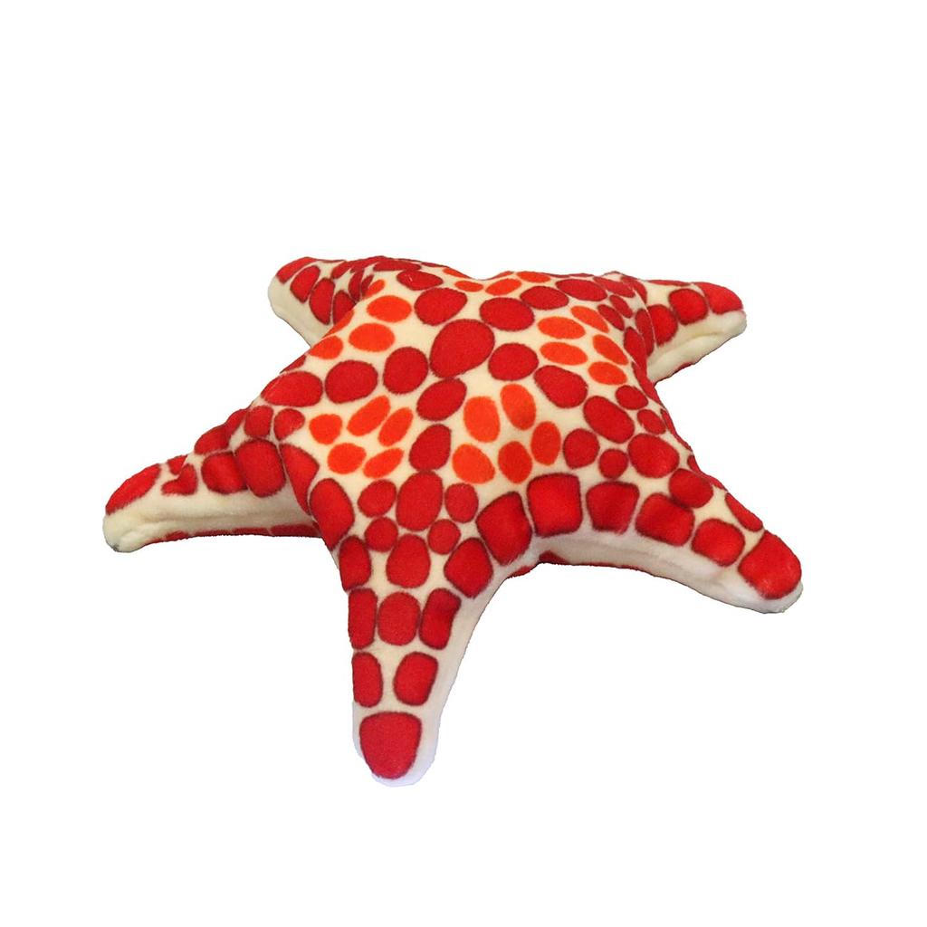 Take Off Mysterious Touch Pokepuni Cherry Brick Biscuit Star