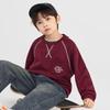 Boys' Fashion Color Block Pullover Sweatshirt