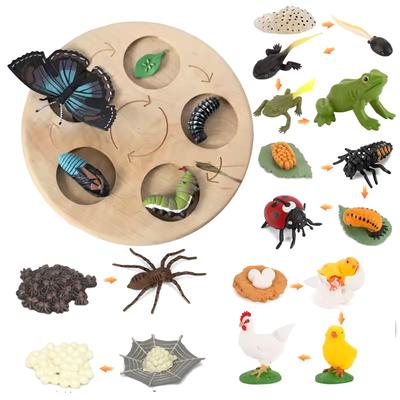 Kinder Montessori Tierlebenszyklus Brett Set Spielzeug Tropen Insekt Spinne Biene Modell Lehrmittel Pflanze Vorschule Kognitives Set