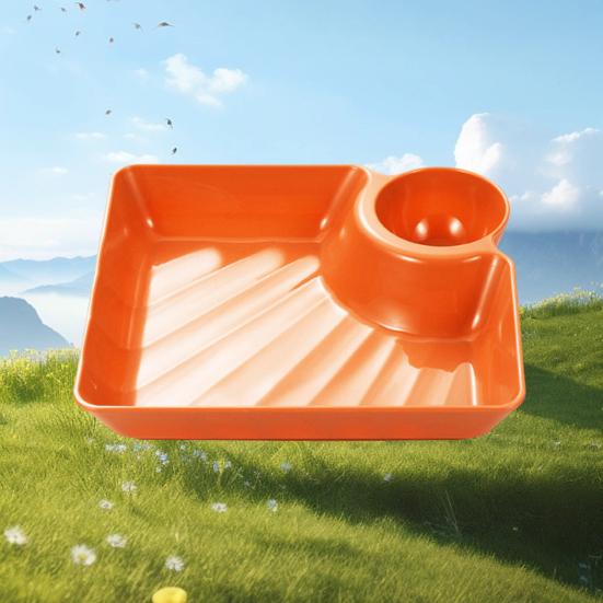 Dumpling Plate with Sauce Dish Design Versatile Easy To Clean Snacks Desserts Sushi Tray Kitchen Tableware