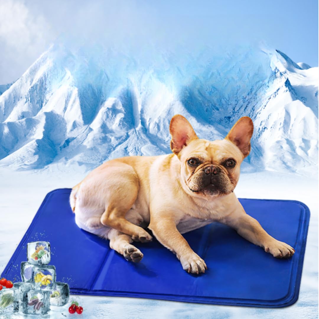 Pet Mat Gel Summer Pet Cooling Cooling Cooling Cooling Sheet for Cats and Cooling Heatstroke Cooling Cooling Cooling Washable (1 piece) Mat, Mat, Pad,